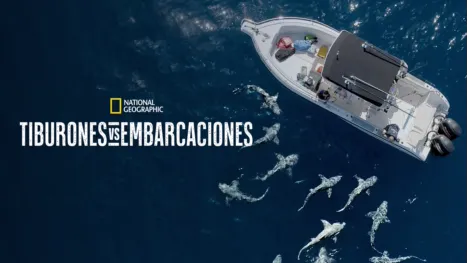 thumbnail - Tiburones vs. embarcaciones