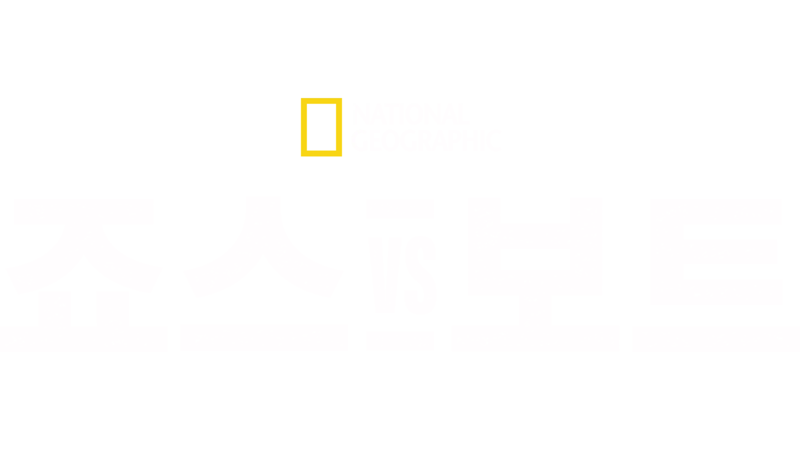 죠스 vs 보트