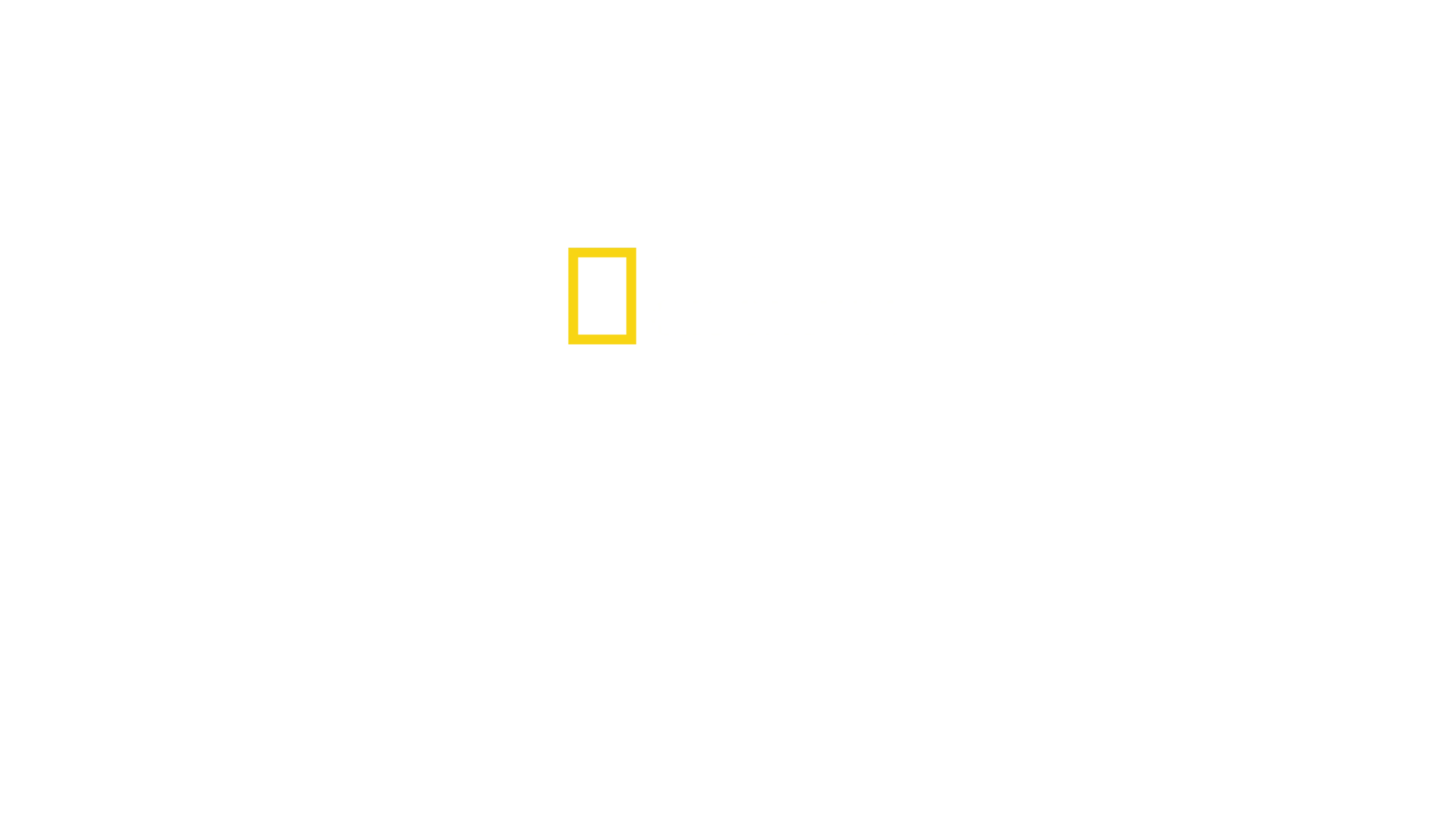 Tubarões vs. Embarcações
