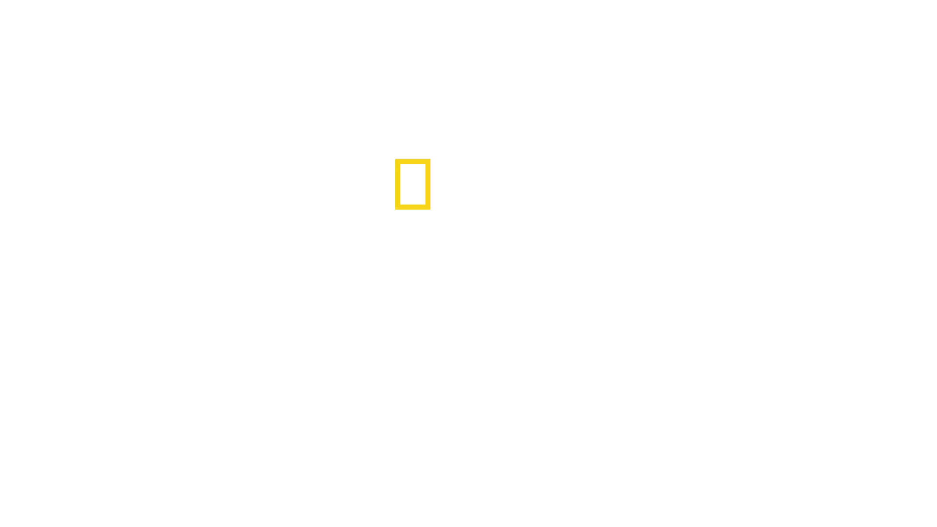 Köpekbalıkları Teknelere Karşı