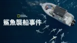 thumbnail - 鯊魚襲船事件