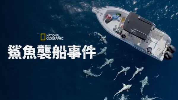 thumbnail - 鯊魚襲船事件