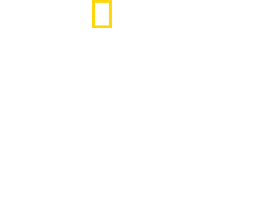 다 먹어치우는 상어