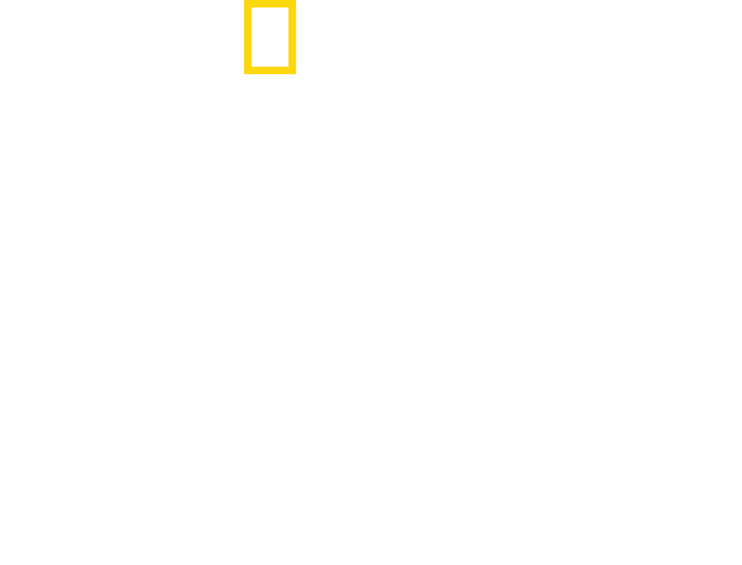 다 먹어치우는 상어