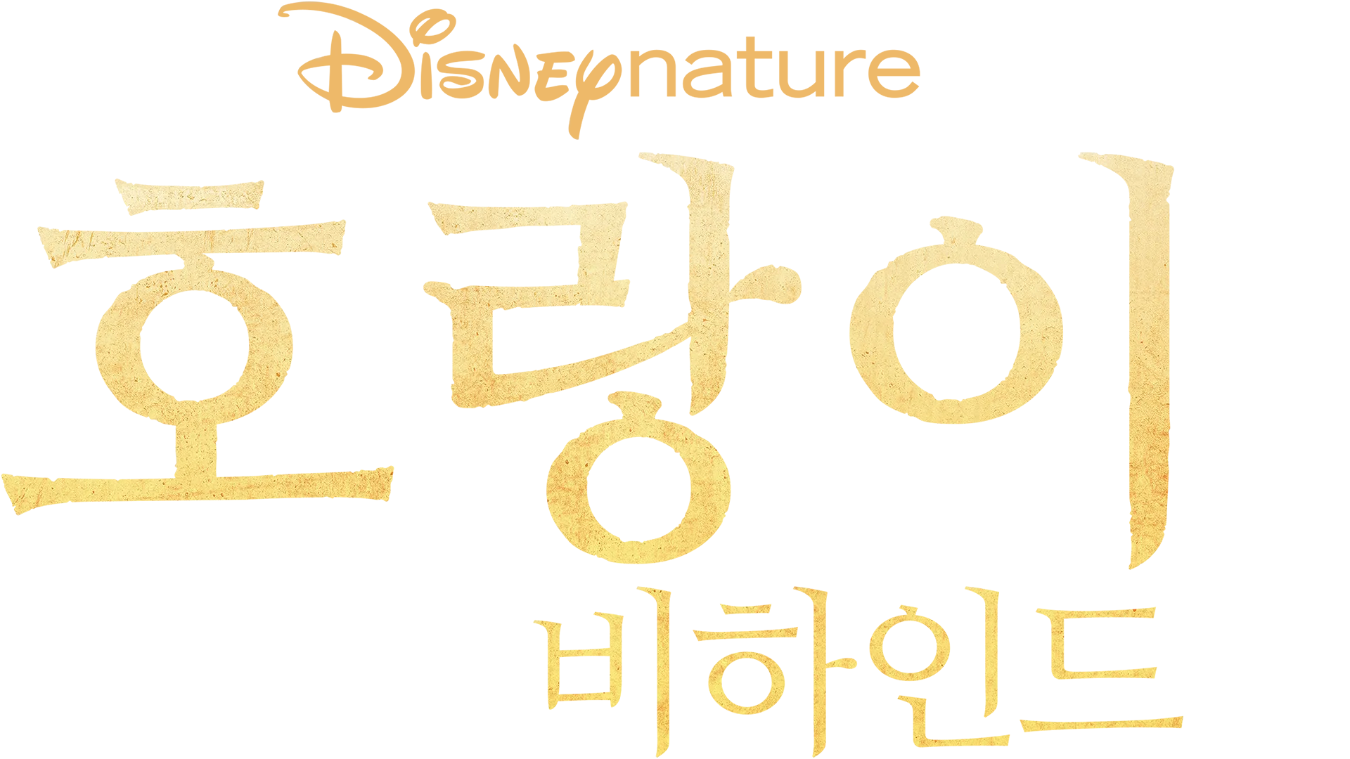 호랑이 비하인드