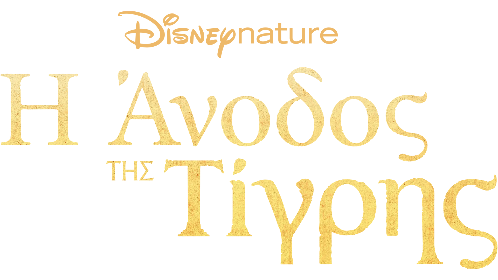 Η Άνοδος της Τίγρης