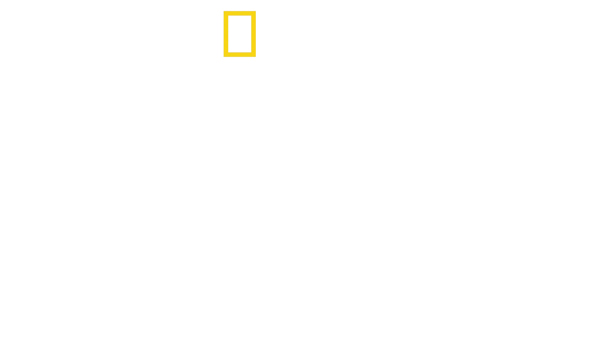 SpaceX: Die Reise zum Mars