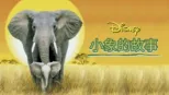 thumbnail - 小象的故事