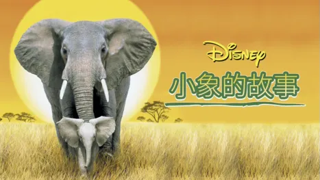 thumbnail - 小象的故事