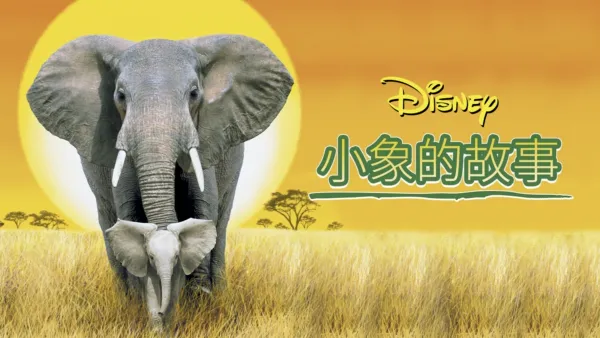 thumbnail - 小象的故事