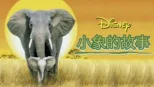 thumbnail - 小象的故事