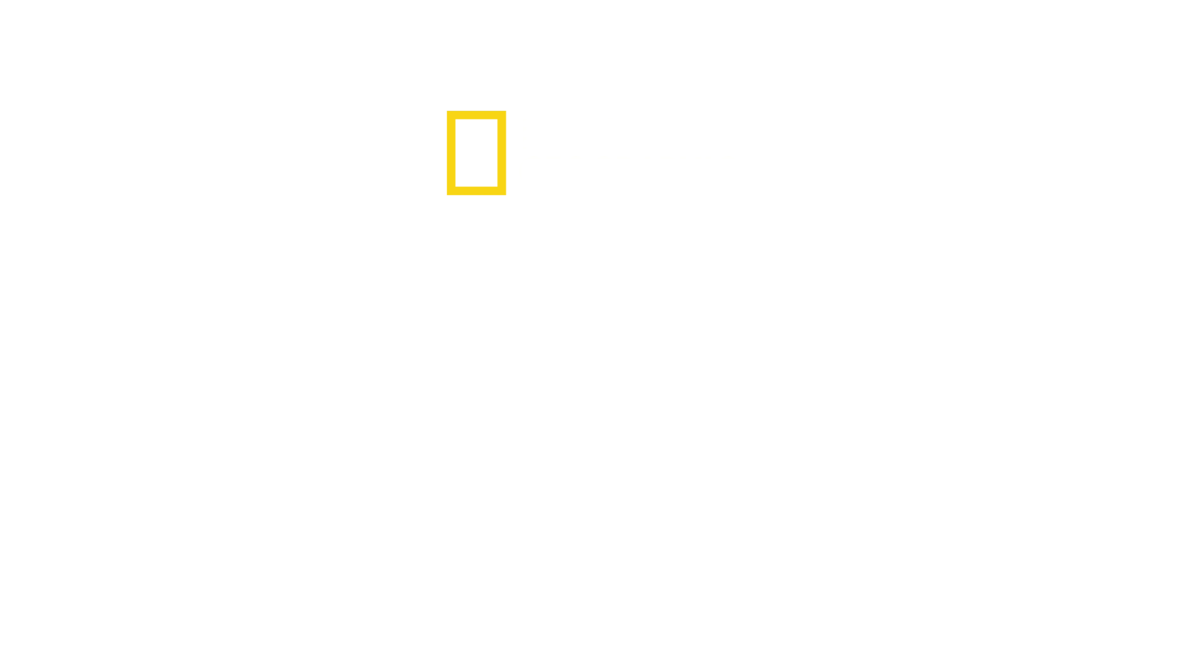 Hilfe, ich wurde gebissen!