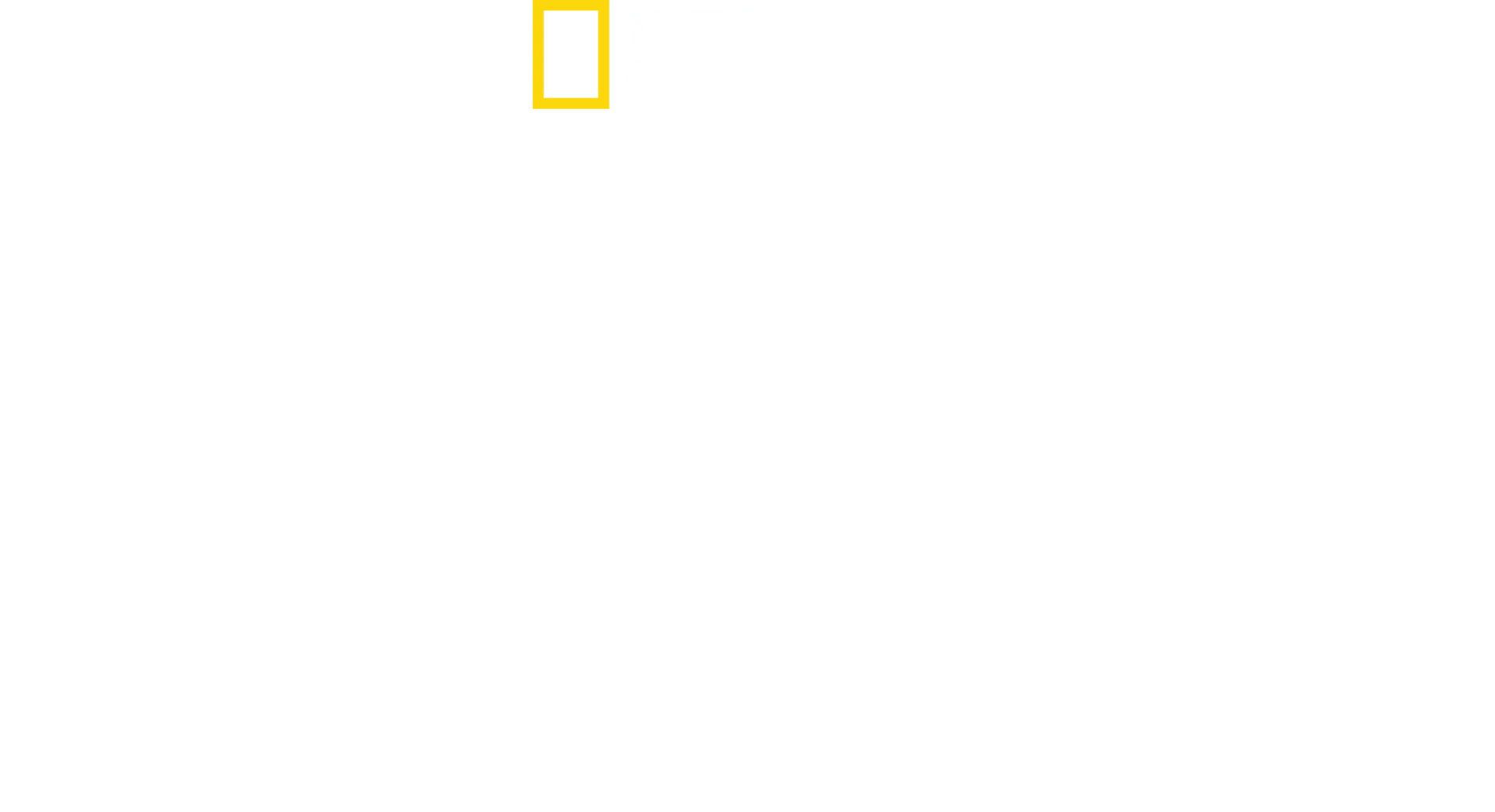 무언가에 물렸어요!
