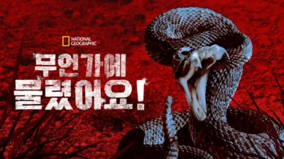 무언가에 물렸어요!