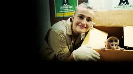 Jungle Animal Rescue