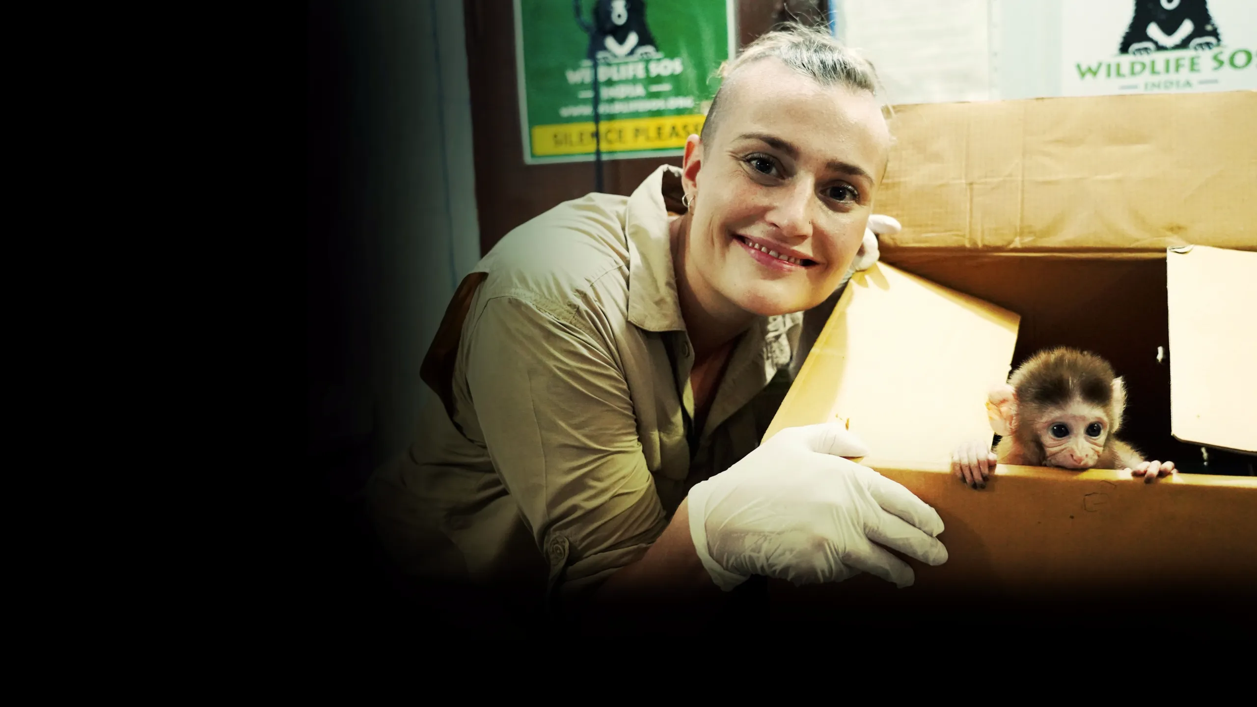 Jungle Animal Rescue