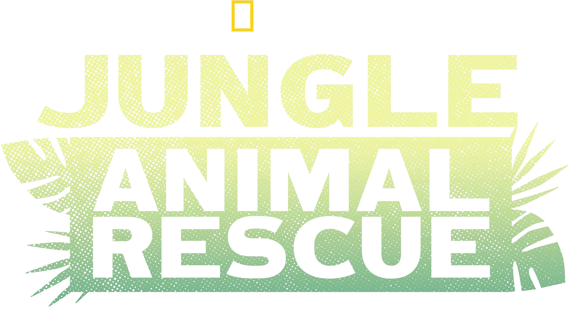 Jungle Animal Rescue