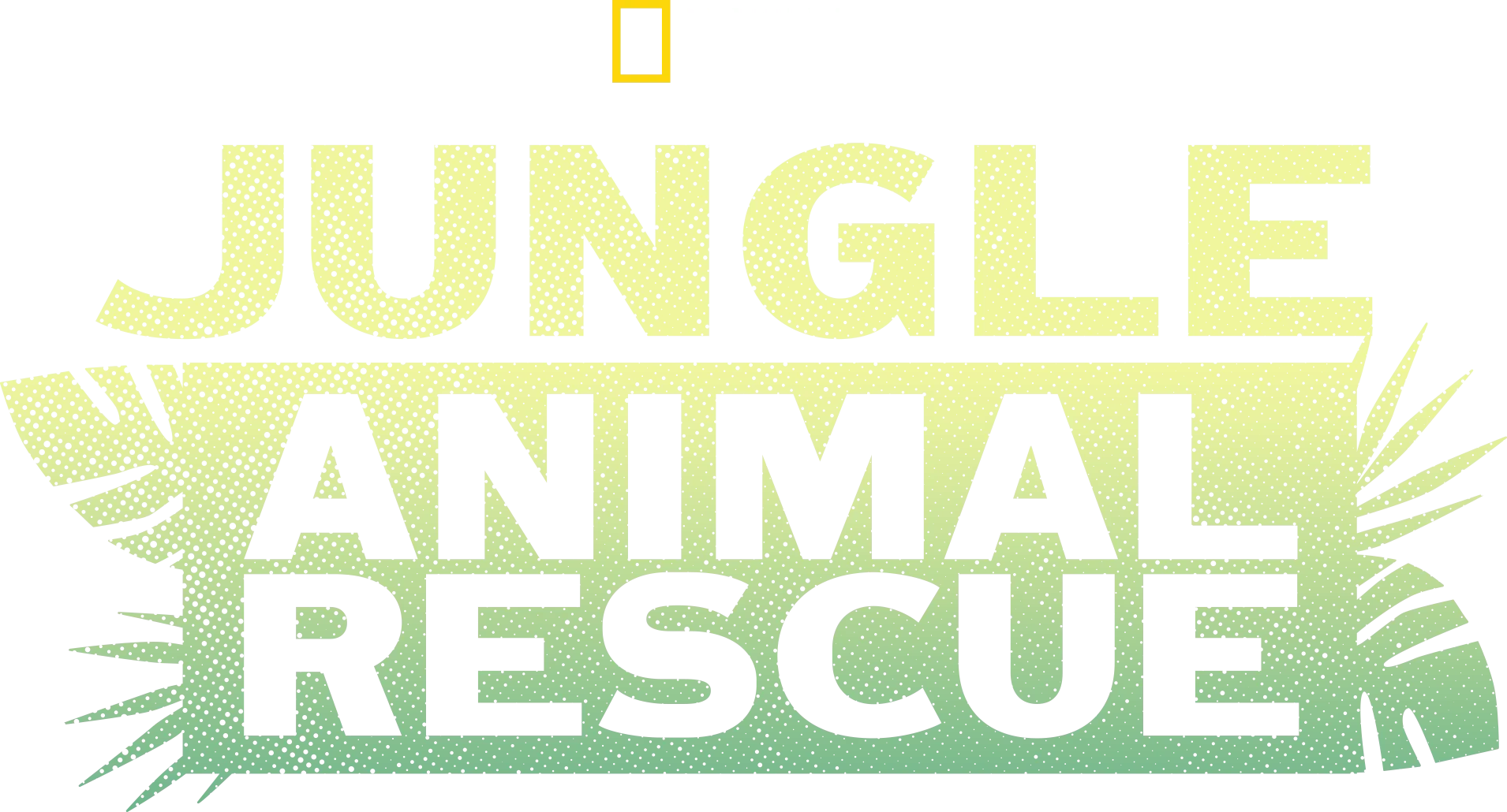 Jungle Animal Rescue