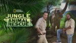 thumbnail - Jungle Animal Rescue