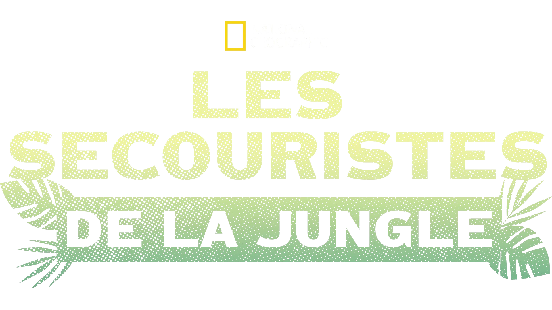 Jungle Animal Rescue