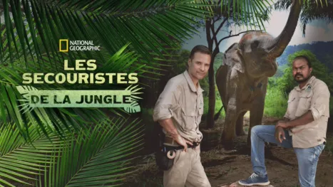 thumbnail - Jungle Animal Rescue