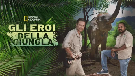 thumbnail - Jungle Animal Rescue
