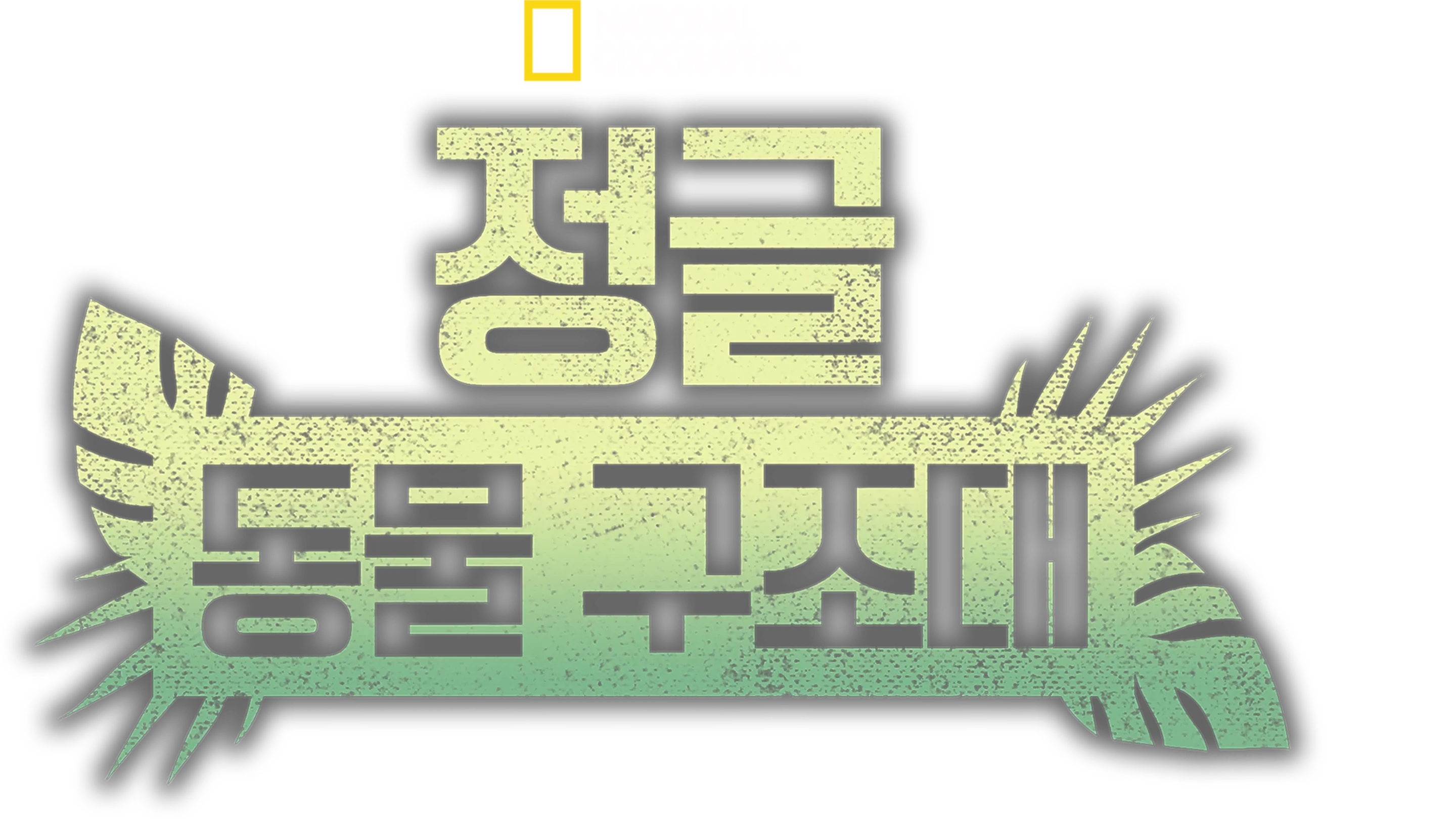 정글 동물 구조대