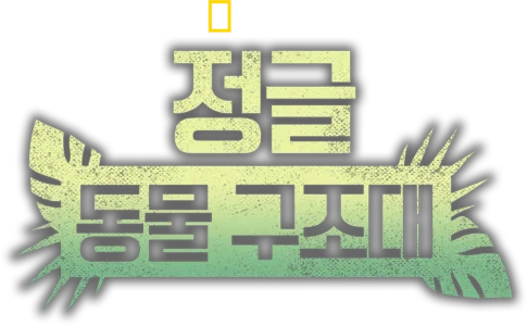 정글 동물 구조대