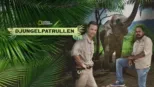 thumbnail - Djungelpatrullen