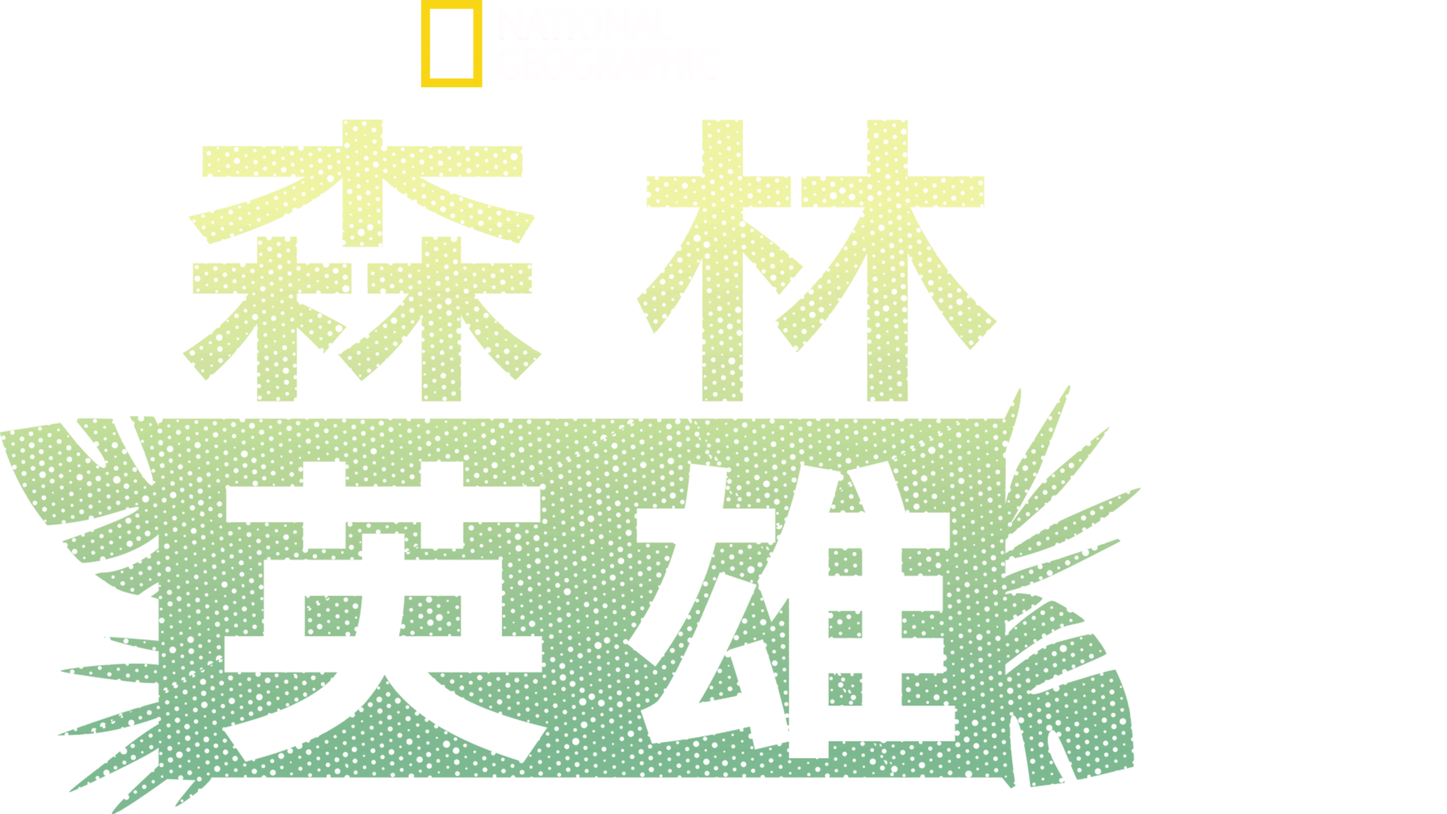 森林英雄