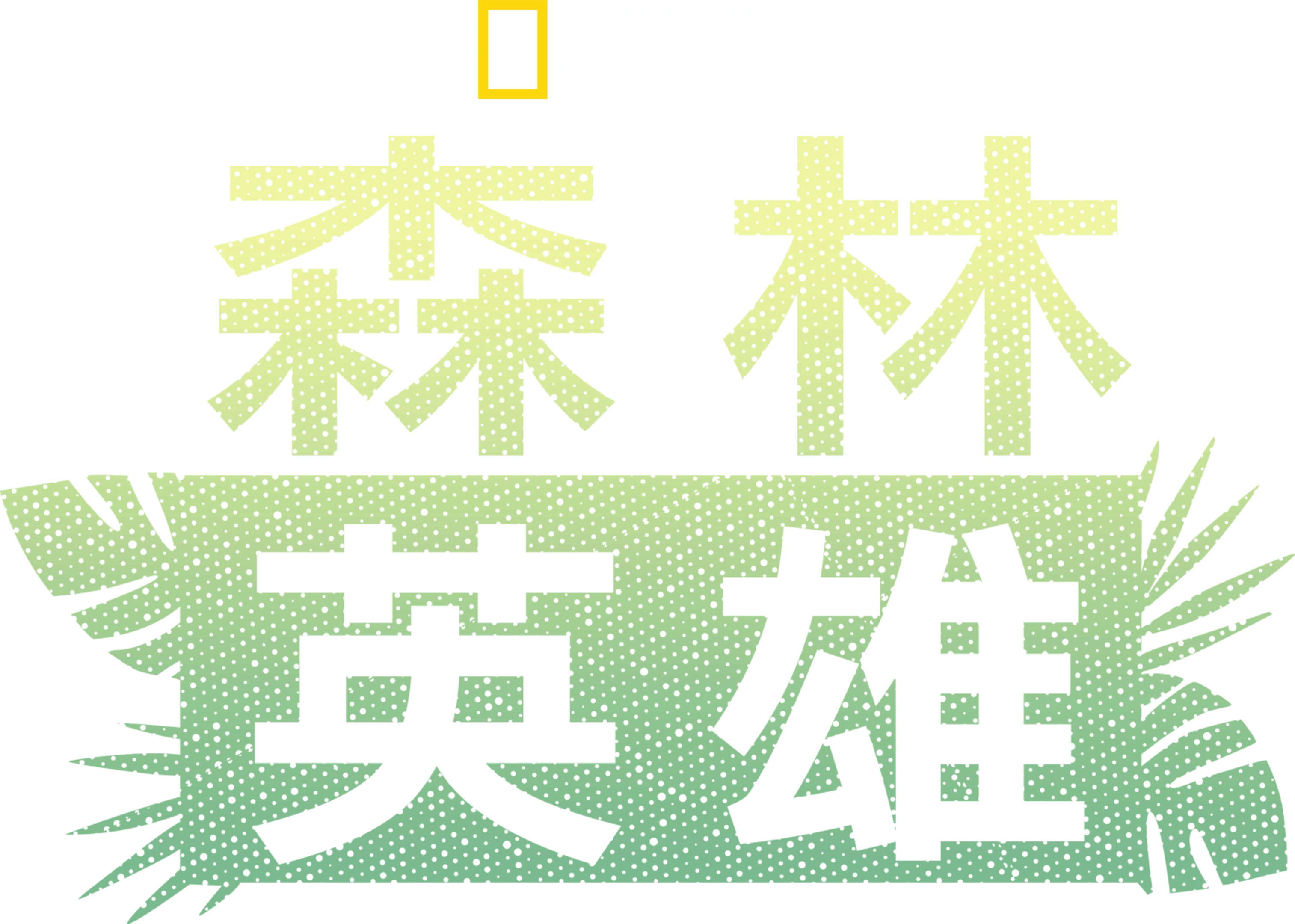 森林英雄