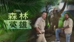 thumbnail - 森林英雄