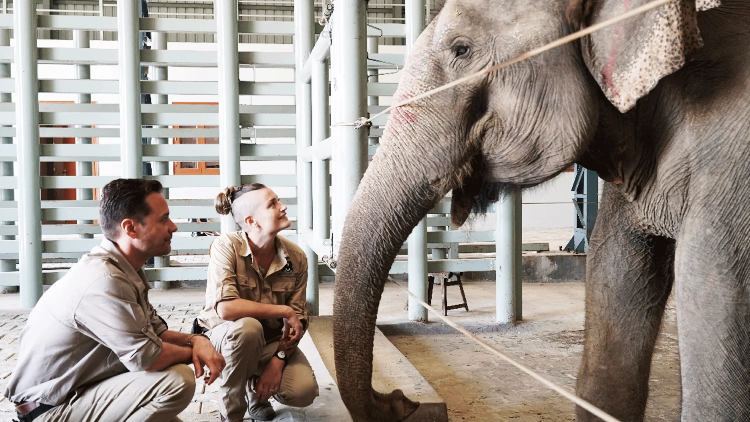 thumbnail - S1:E3 Operation: Elephant