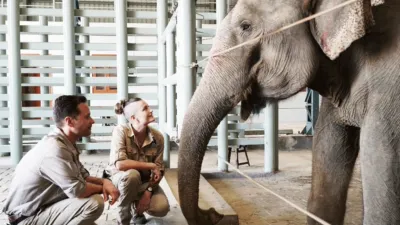 thumbnail - S1:E3 Operation: Elephant