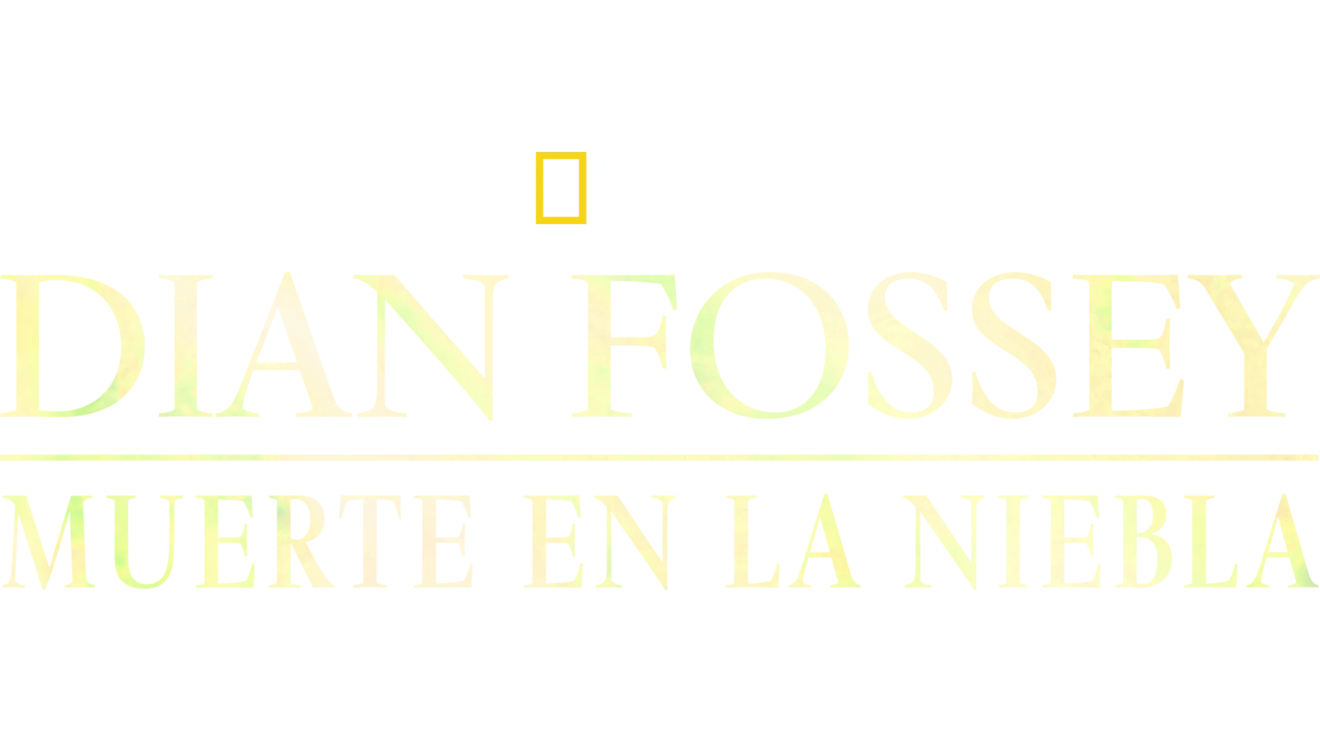 Dian Fossey, Muerte en la niebla