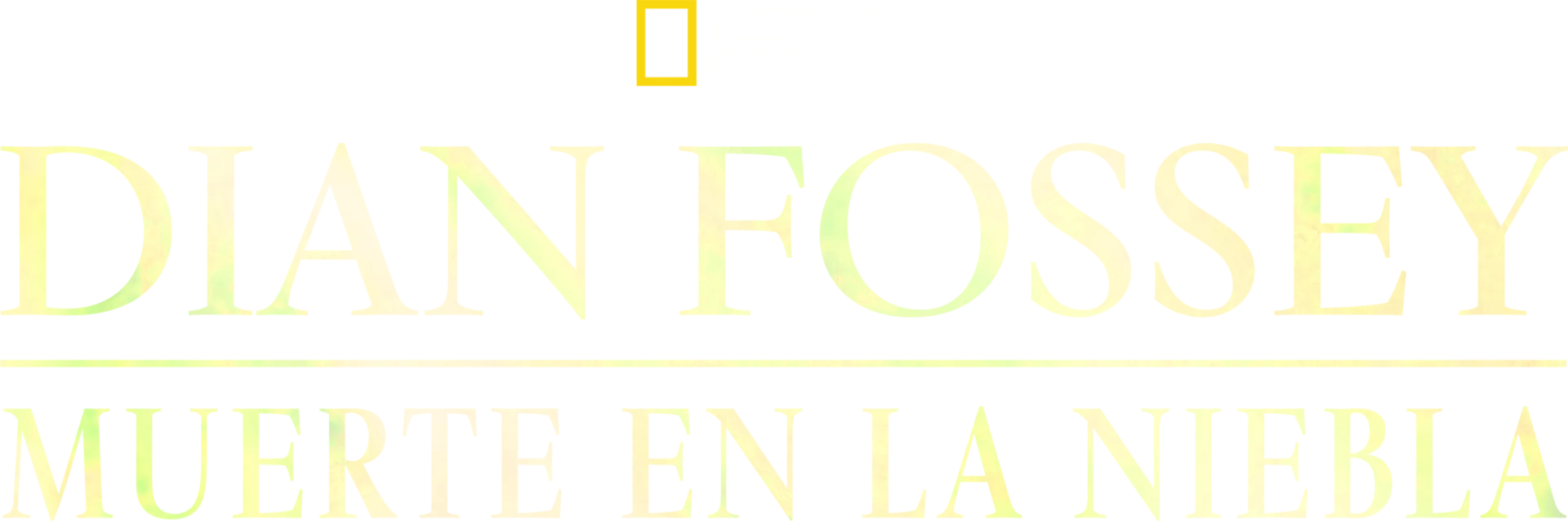 Dian Fossey, Muerte en la niebla