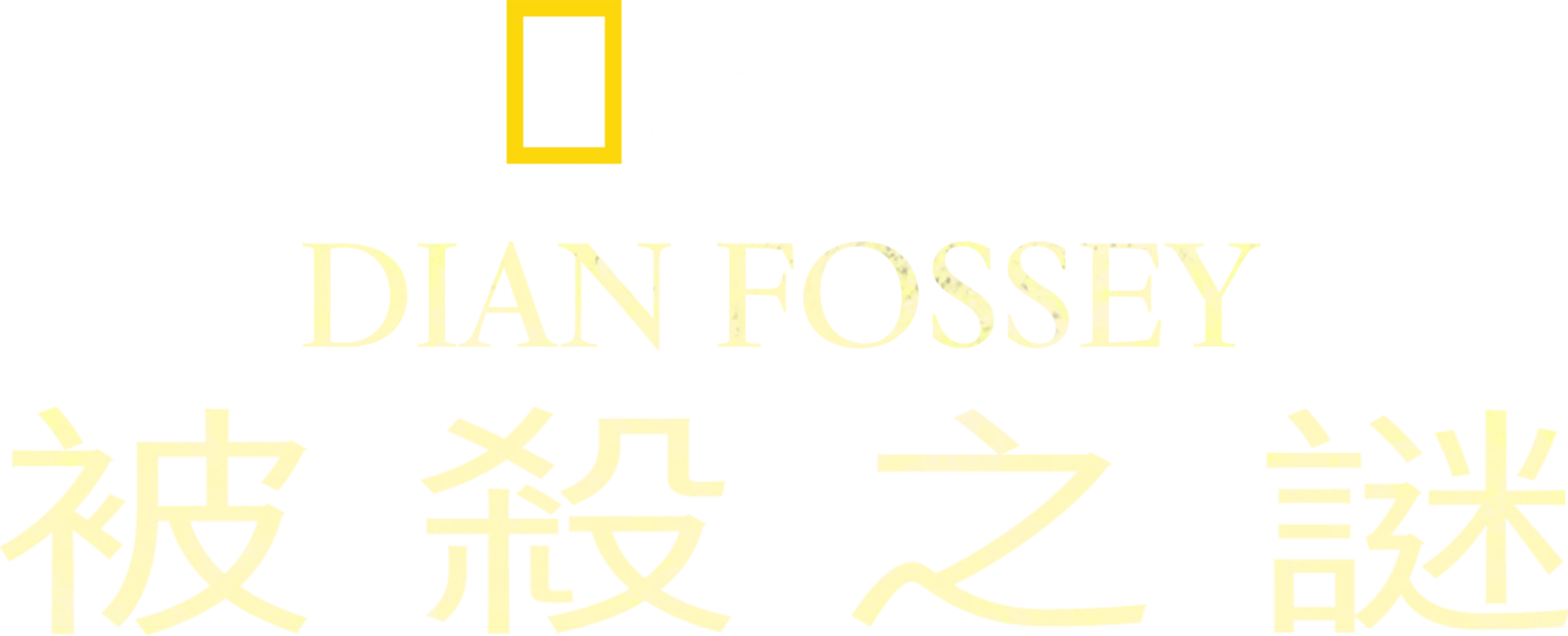 Dian Fossey被殺之謎