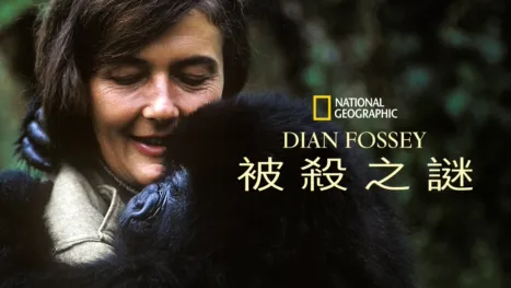 thumbnail - Dian Fossey被殺之謎
