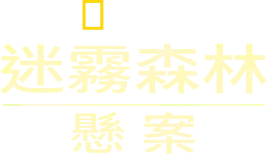 迷霧森林懸案