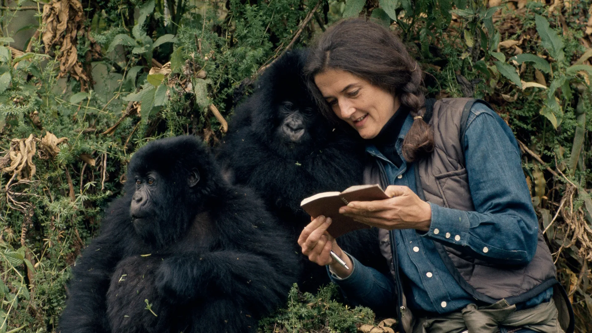 thumbnail - S1:E1 Gorilla Girl