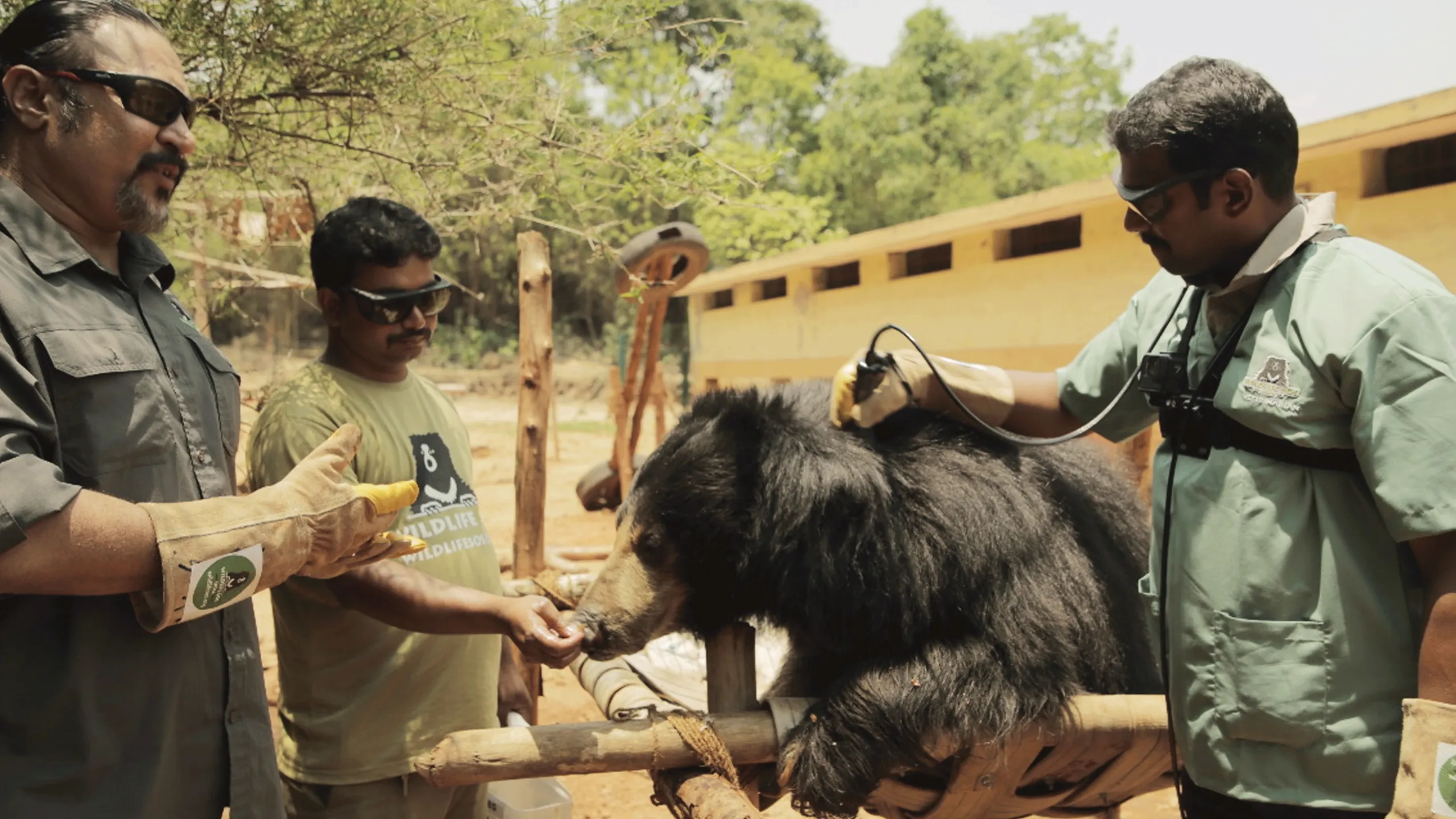 thumbnail - S1:E4 Bear Necessities