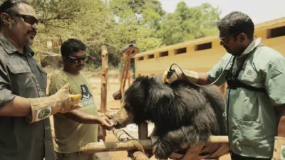 thumbnail - S1:E4 Bear Necessities