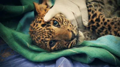 thumbnail - S1:E2 Safe and Sound