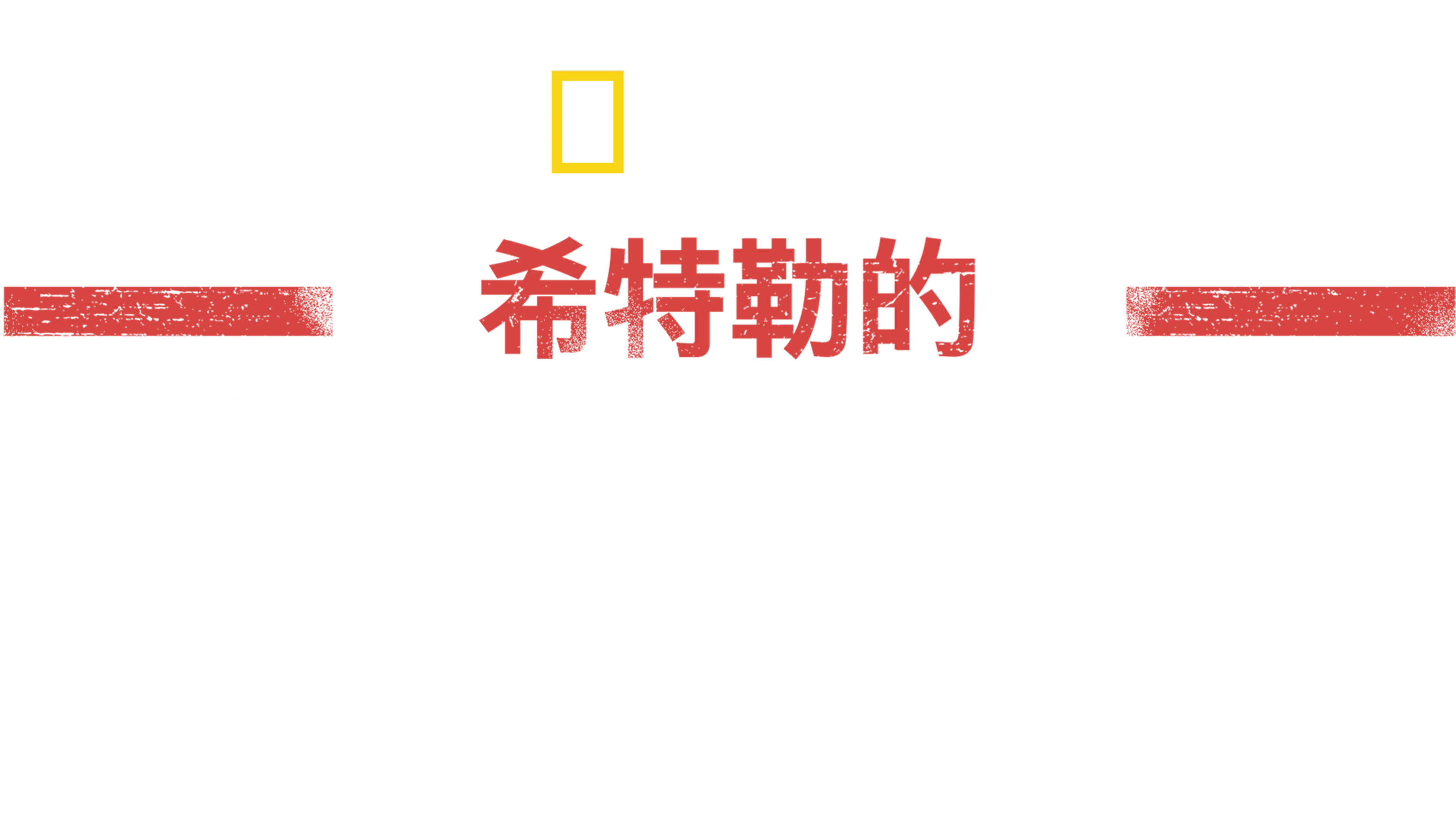 希特勒的美国战场