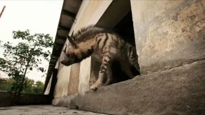 thumbnail - S1:E6 Family Reunion