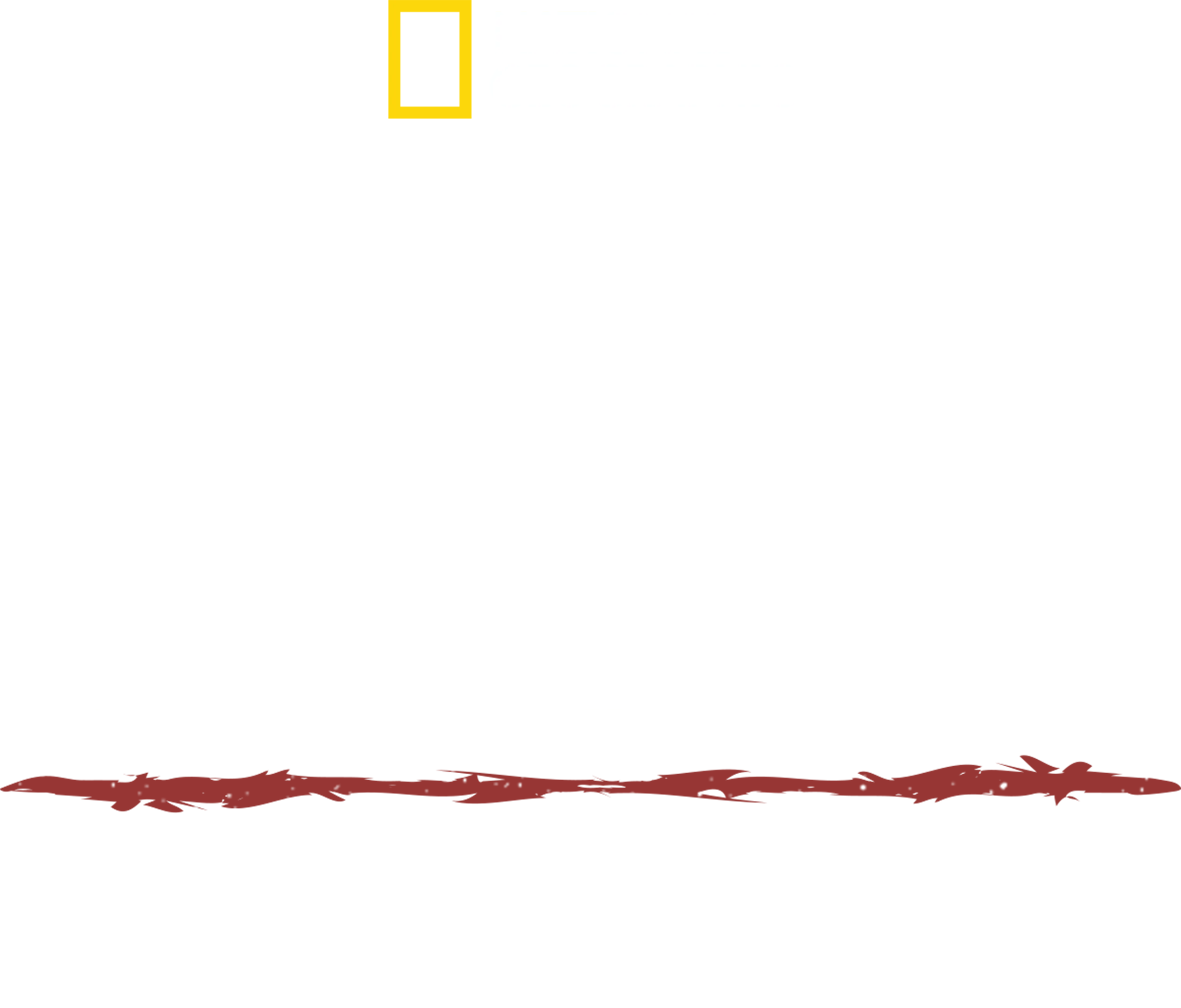 決死のサバイバル：大河メコン
