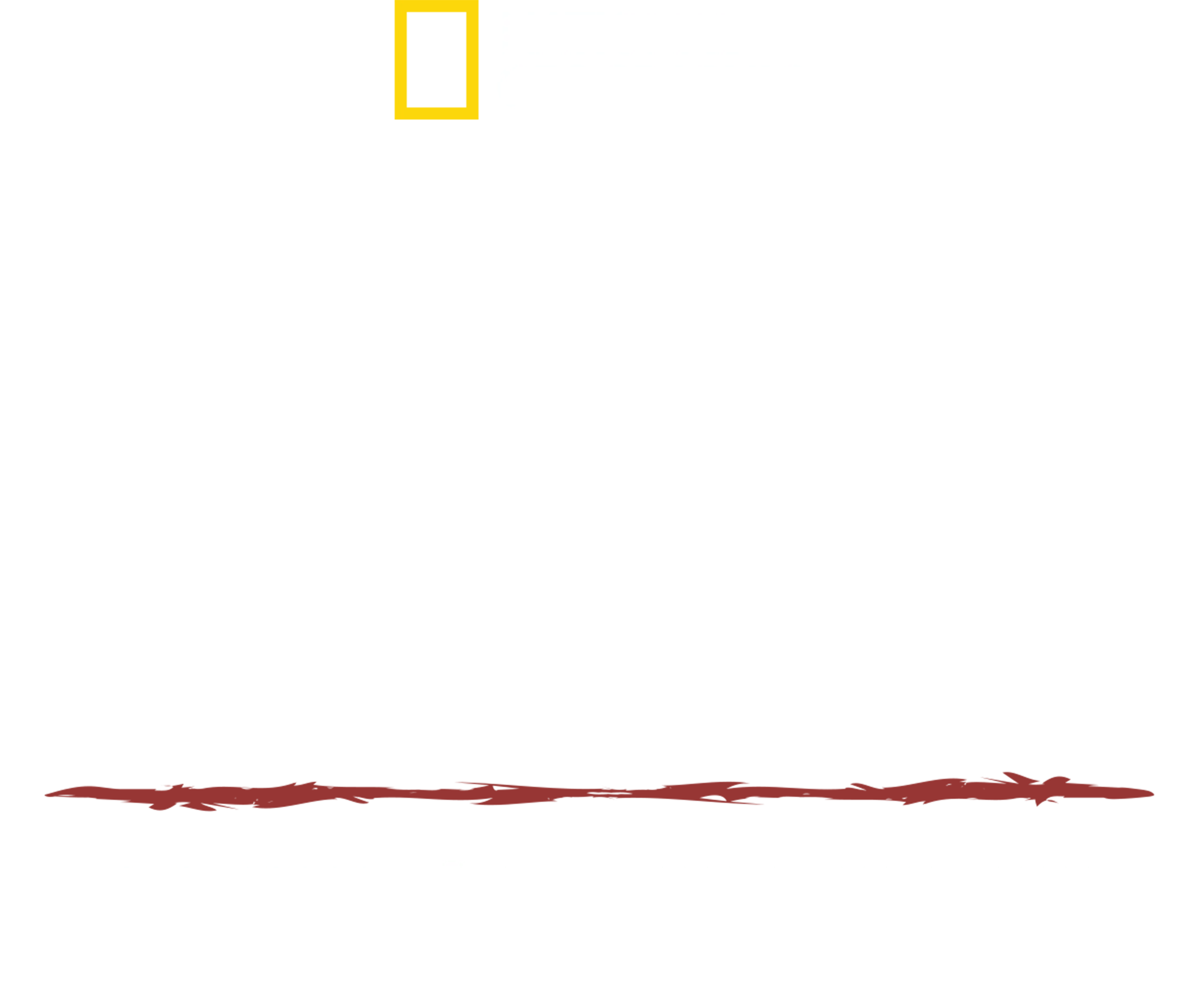 헤이즌 아델의 정글의 법칙: 위대한 메콩강