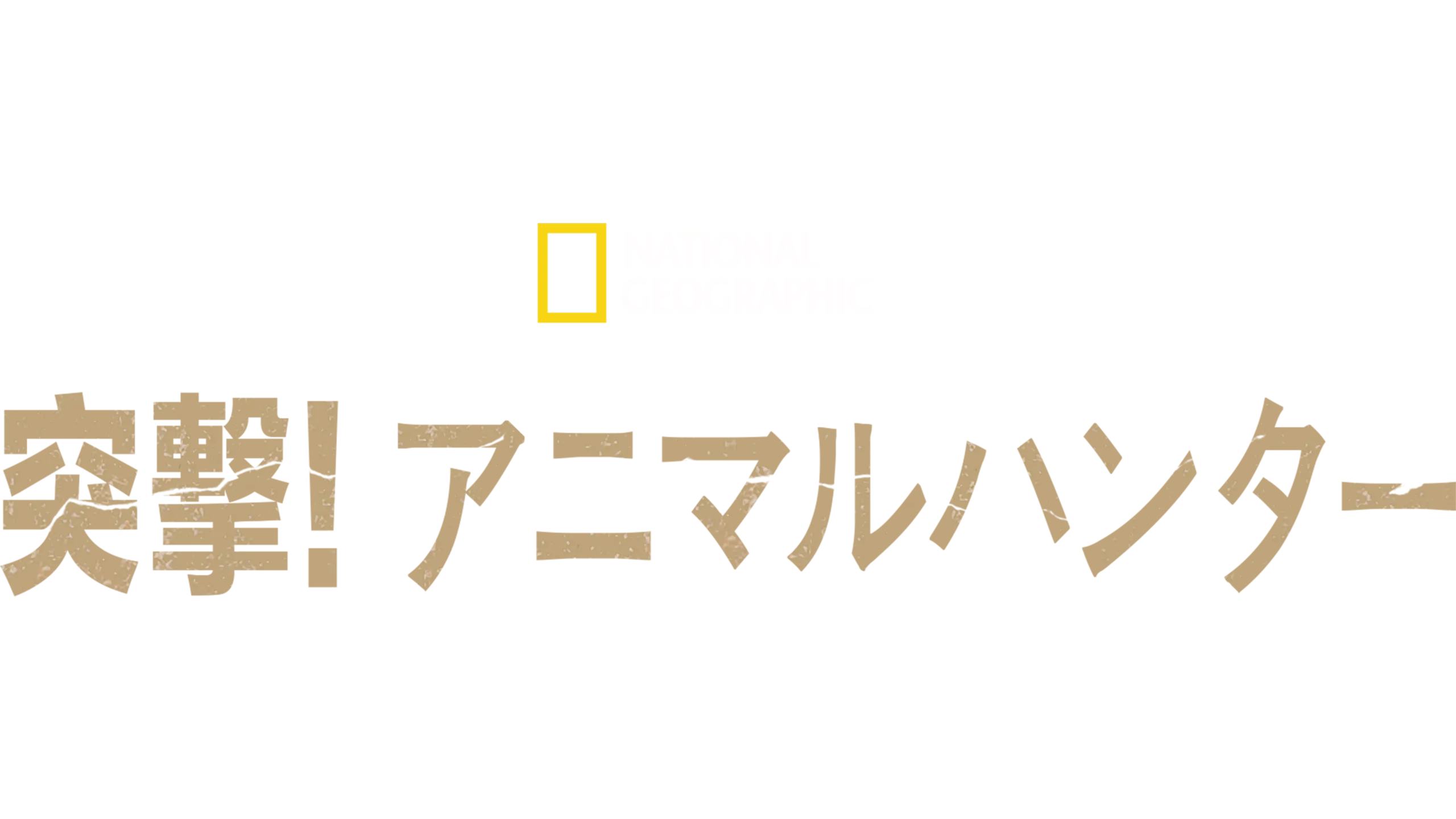 突撃！アニマルハンター