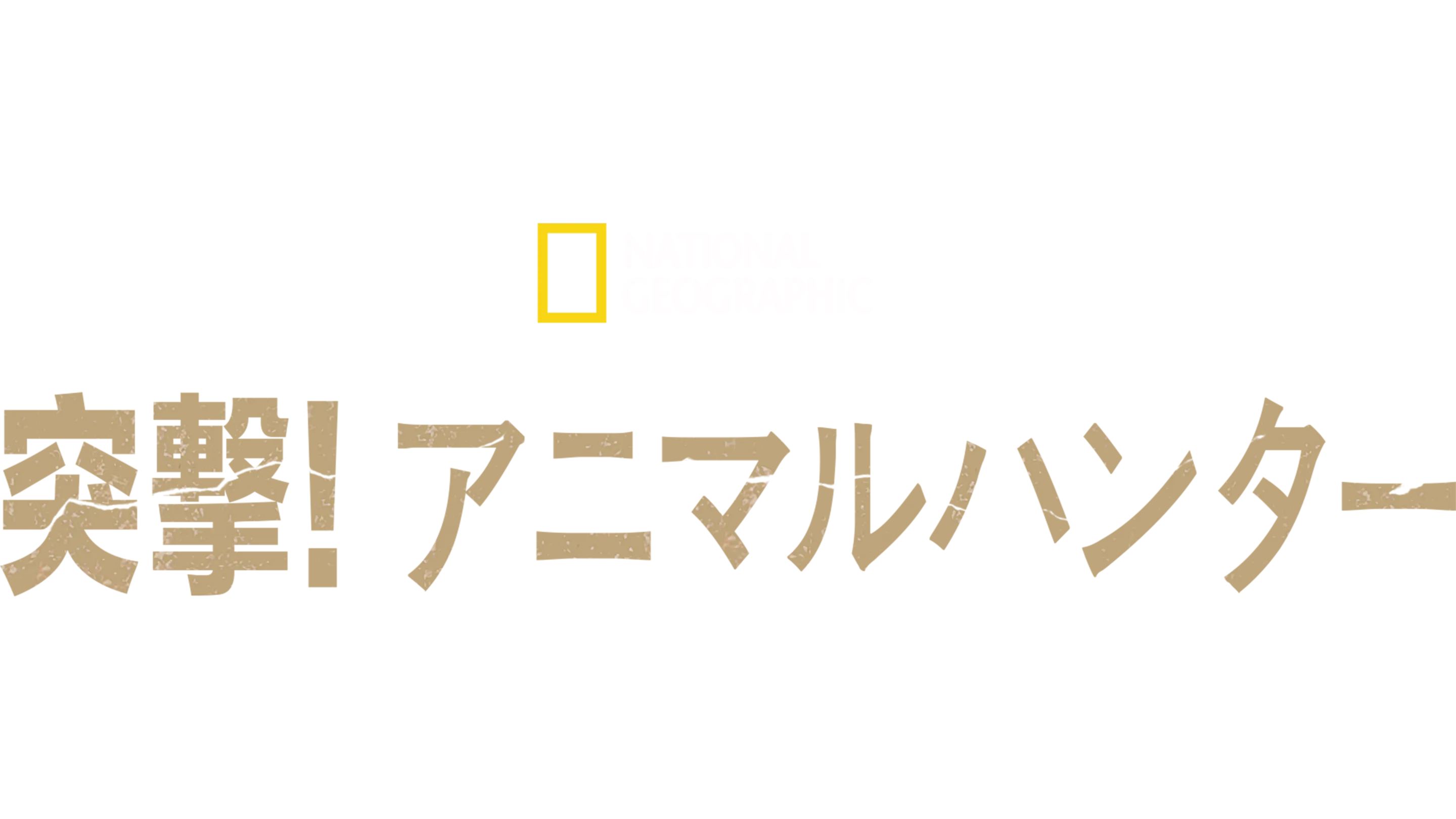 突撃！アニマルハンター