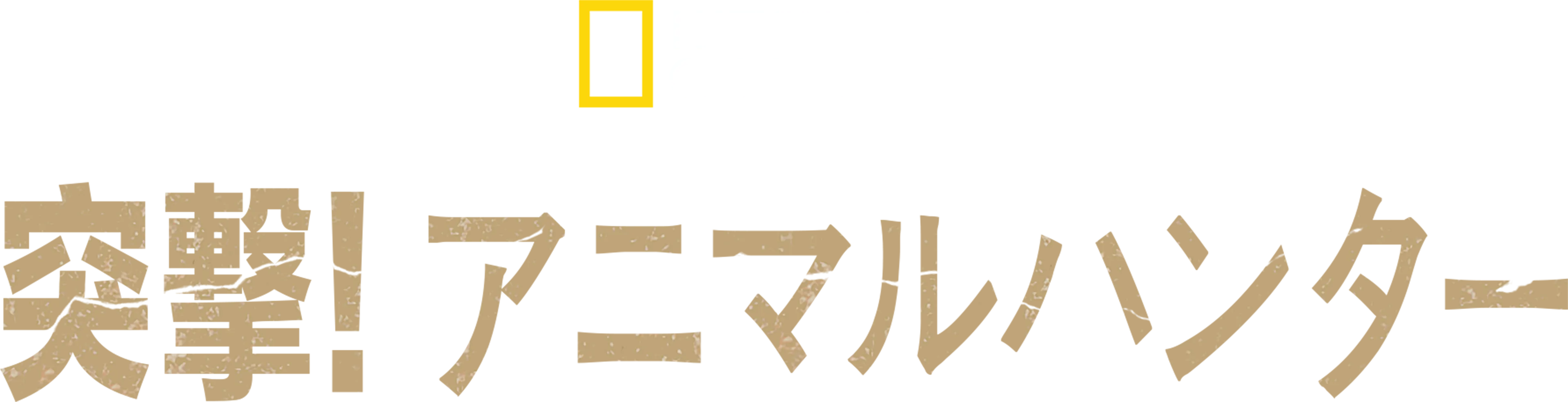 突撃！アニマルハンター